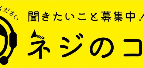 木用ねじ関連のききたいこと知りたいこと募集します！